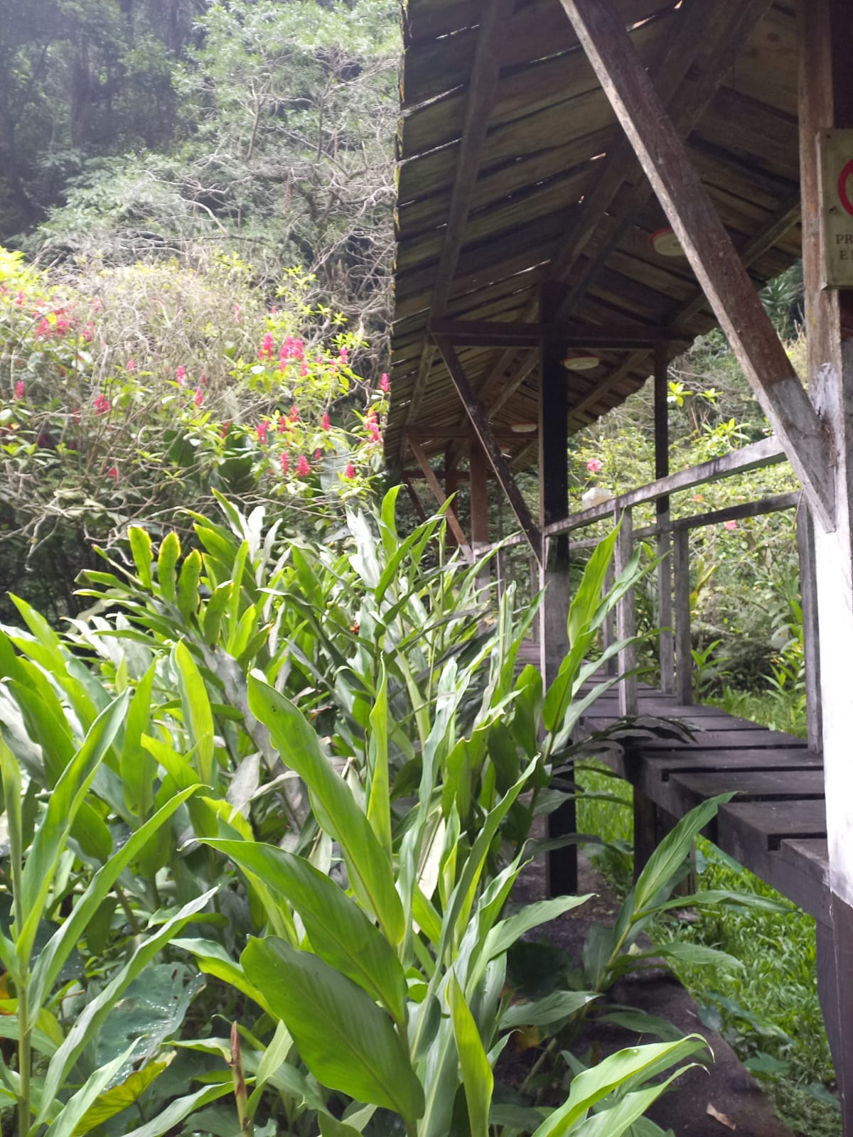 WhatsApp Image 2025-11-18 at 9.47.53 AM (2)